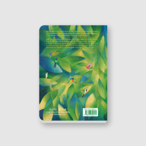 Alternative view of Ciacio in the Amazon