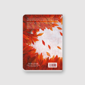 Alternative view of Ciacio in the Woods